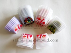 Plastic Thin-wall IML containers moulds company