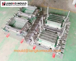2-cavity crate mould manufacturer in China